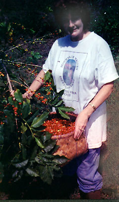 pennybasket.jpg (41946 bytes)